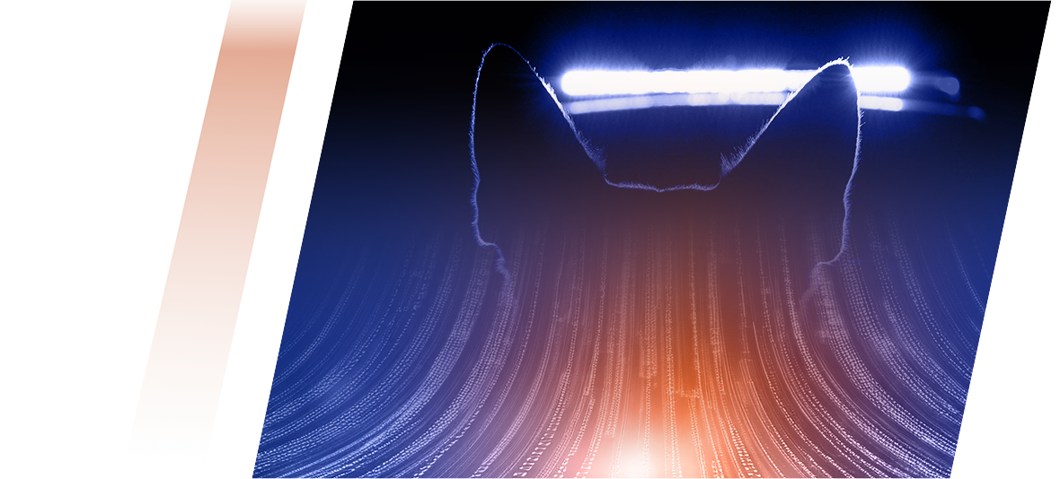 Hand holding a white card about to be inserted into a reader, with an orange and blue abstract background.